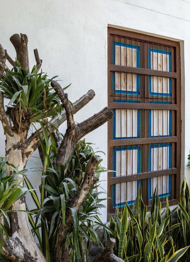Casa Jacaranda Hotel Boutique - Cauca Viejo - Mayores De 14 Anos - Jericoc  Exteriér fotografie