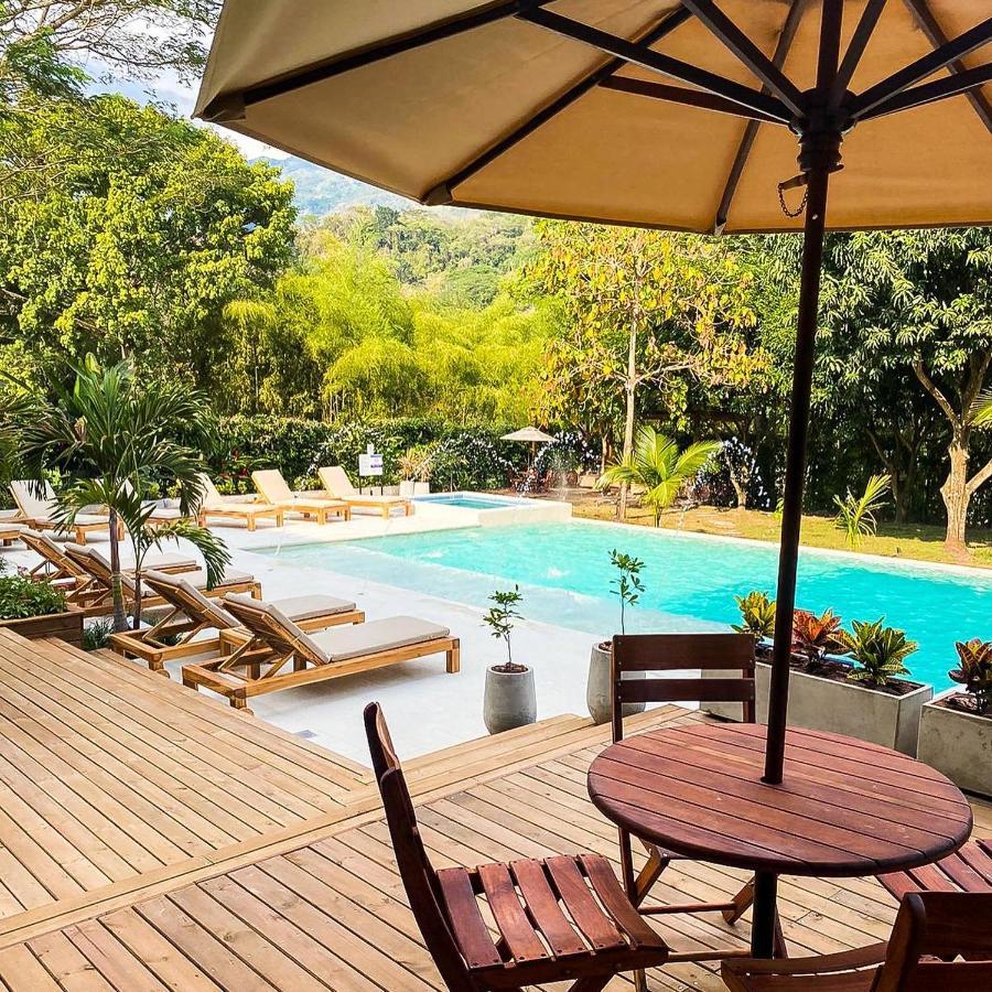 Casa Jacaranda Hotel Boutique - Cauca Viejo - Mayores De 14 Anos - Jericoc  Exteriér fotografie